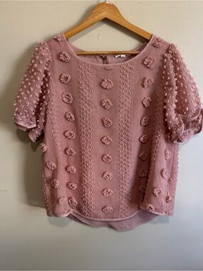 Mine Blush Pink 3D Floral Appliqué Textured Puff Sleeve Blouse Size L